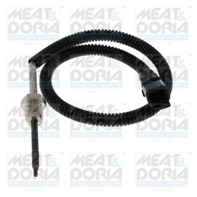 Sensor, exhaust gas temperature